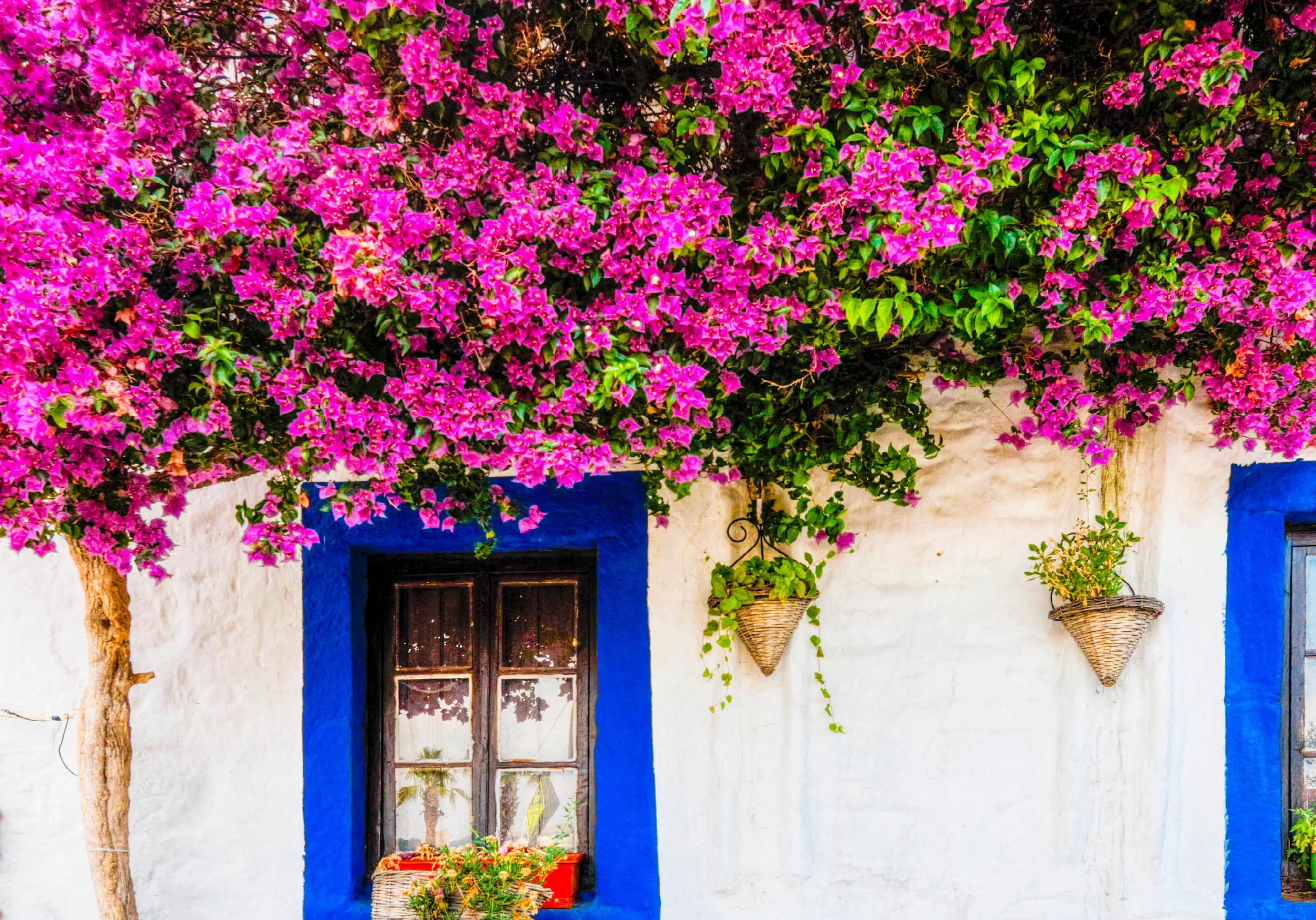 Bodrum Castle